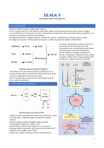 tema-9-metabolisme-energetic.pdf