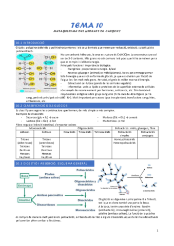 tema-10-metabolisme-dels-hidrats-de-carboni.pdf