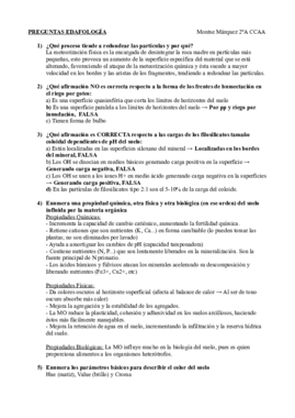 Preguntas Examen Resueltas.pdf