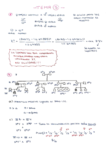 Ejercicios-tema-5-1-21-ok.pdf