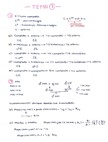 Ejercicios-tema-7.pdf