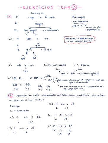 Ejercicios-tema-3-1-13.pdf