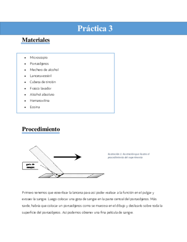 practica-3.pdf