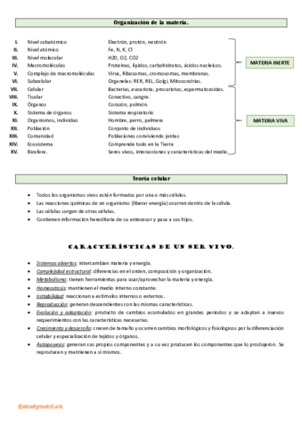 1-Organizacion-de-la-materia.pdf