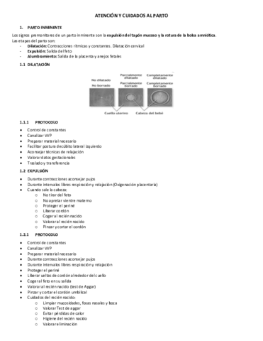 ATENCION-Y-CUIDADOS-AL-PARTO.pdf