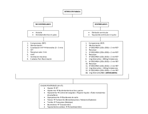 ESQUEMA-PCR.pdf