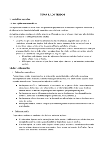 Tema-3.pdf