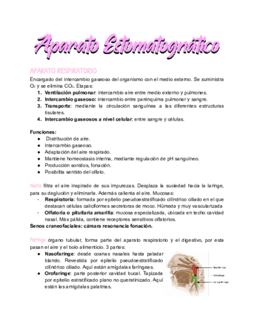 Aparato-estomatognatico.pdf