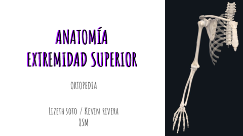 1-ANATOMIA-HUESOS-MUSCULOS-Y-NERVIOS.pdf