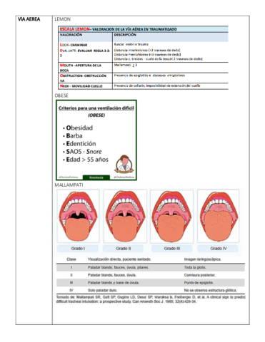 PARCIAL-ANESTESIO.pdf