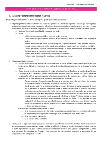 TEMA-12-SALUD.pdf
