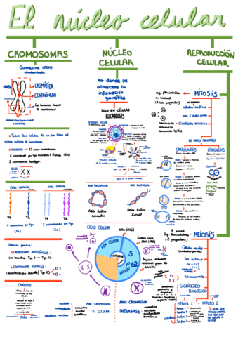 Nota-14-dic-2021-225839.pdf
