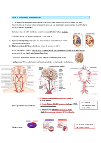 ACV-Y-FISIOTERAPIA-EN-ACV.pdf