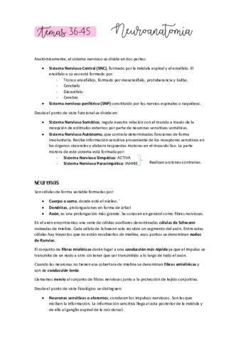 NEUROANATOMIA34-35.pdf