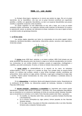 TEMA-13-ALGAS.pdf