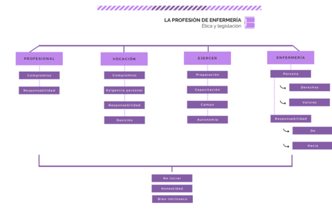 LA-PROFESION-DE-ENFERMERIA.pdf