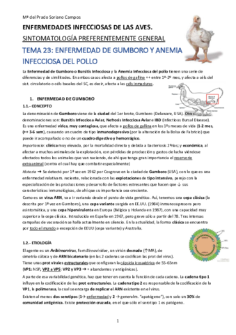 PInf-II-Av-Eq-Lag-.pdf