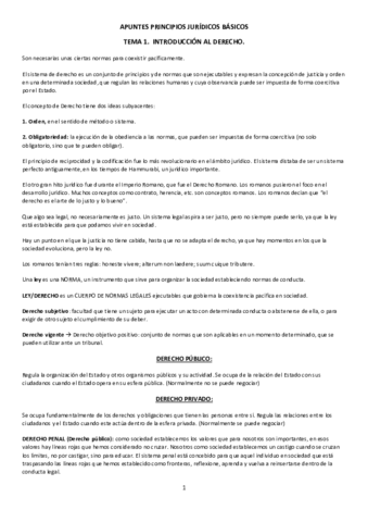 Apuntes-principios-juridicos-basicos.pdf