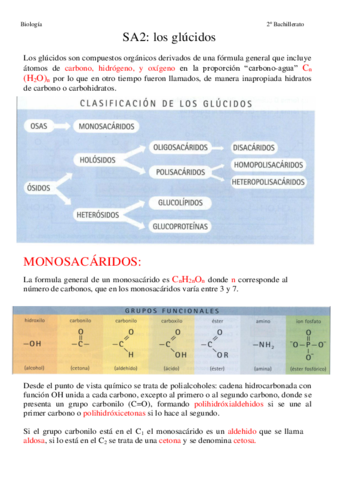 Glucidosapuntes.pdf