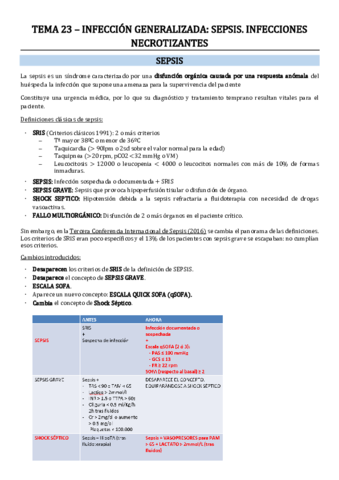 Tema-23-y-24.pdf