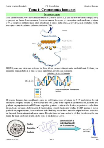 Tema-1-Cromosomas-humanos.pdf