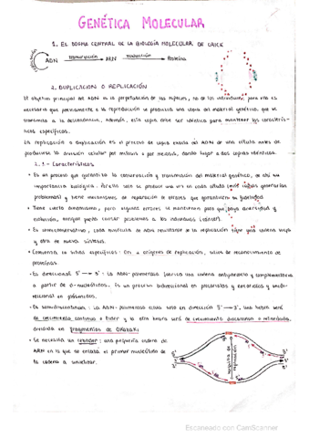 Genetica-Molecular-y-Mendeliana-Biologia.pdf