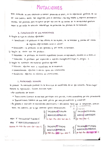 Mutaciones.pdf