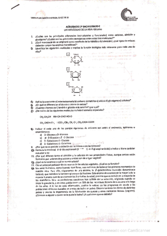 Actividades-Glucidos.pdf