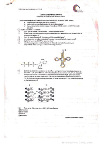 Actividades-Acidos-Nucleicos.pdf