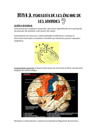 Tema-9.pdf