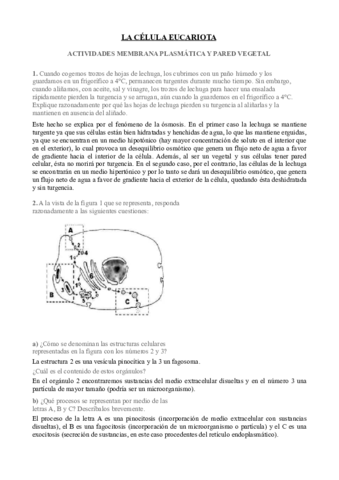 Ejercicios-membrana-y-pared-celular.pdf