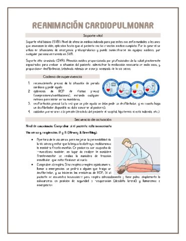 Reanimacion-cardiopulmonar.pdf