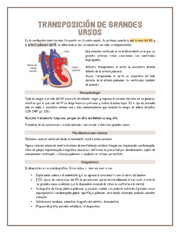 Transposicion-de-grandes-vasos.pdf