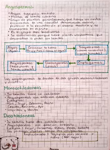 PLANTAS-VASCULARES-II.pdf