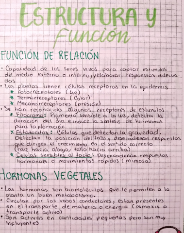 ESTRUCTURA-Y-FUNCION.pdf