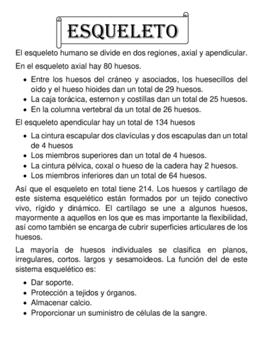 sistema-Esqueletico.pdf