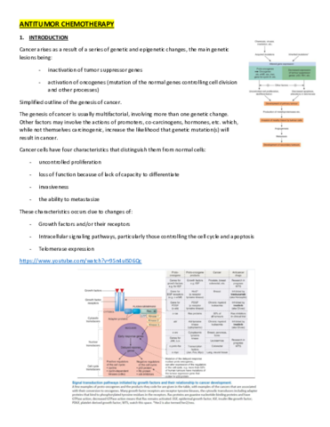 CHAPTER-24-25-AND-26.pdf