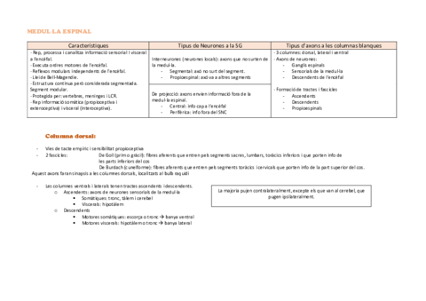 Biologia-Taula.pdf