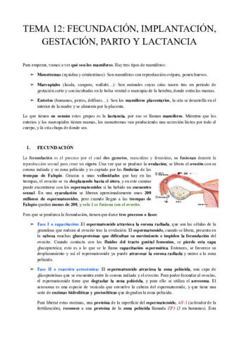 TEMA-12-FECUNDACION-MPLANTACION-GESTACION-PARTO-Y-LACTANCIA.pdf