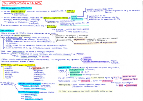 ESQUEMAS-COMPLETAS-APG.pdf