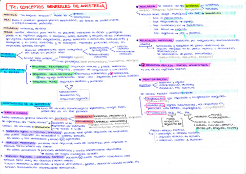 ESQUEMAS-COMPLETOS-ANESTESIA.pdf