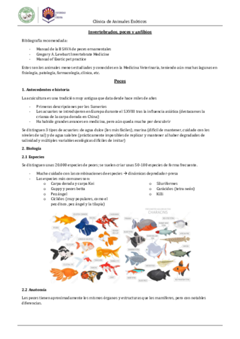 Pecesinvertebrados.pdf