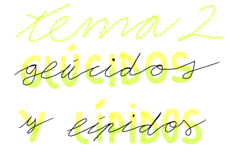 TEMA-2-Glucidos-y-Lipidos.pdf