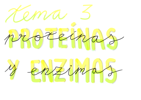 TEMA-3-Proteinas-y-enzimas.pdf
