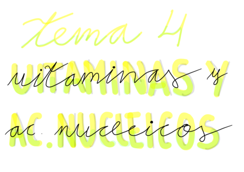 TEMA-4-Vitaminas-y-Acidos-Nucleicos.pdf