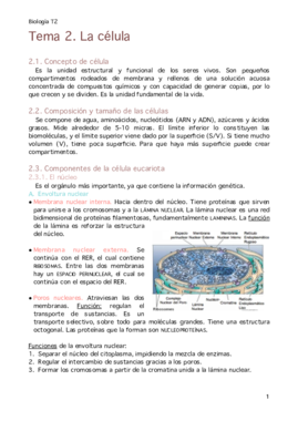 MT2. La célula.pdf