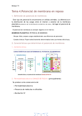 MT4. Potencial de membrana en reposo.pdf