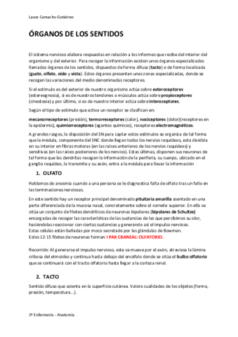 APUNTES-JIMENEZ-REINA.pdf