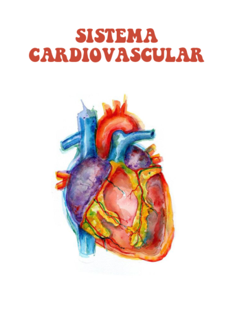 SISTEMA-CARDIOVASCULAR.pdf