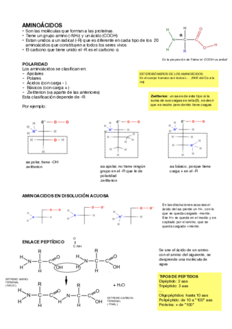 BIOQUIMICA-EXA-2.pdf